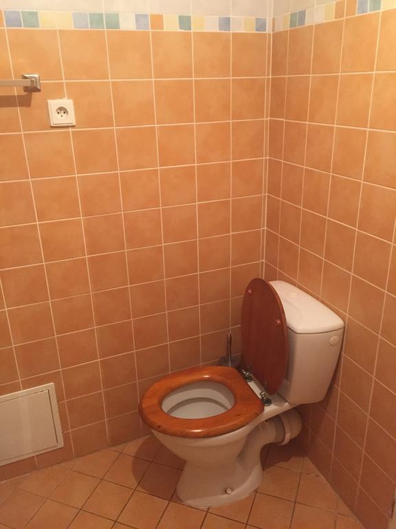 Apartments At The Golden Plough Прага Номер фото
